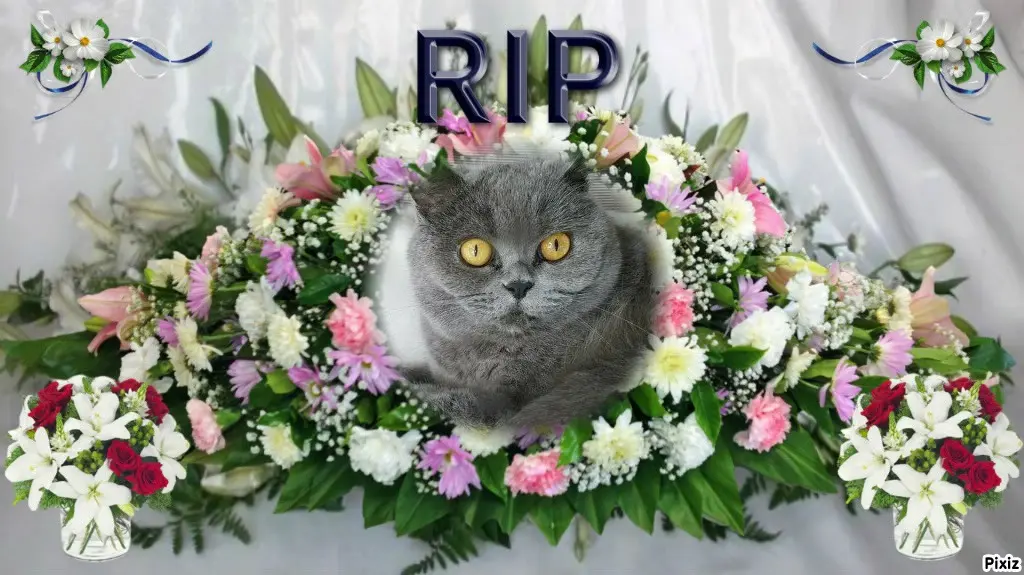 Andachtsbild von Tanja mit Timmy im Herzen 