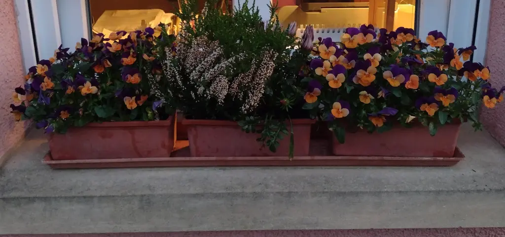 Andachtsbild von Corinna mit Emma, Jengi, Pummelchen und anderen Sternleine im Herzen