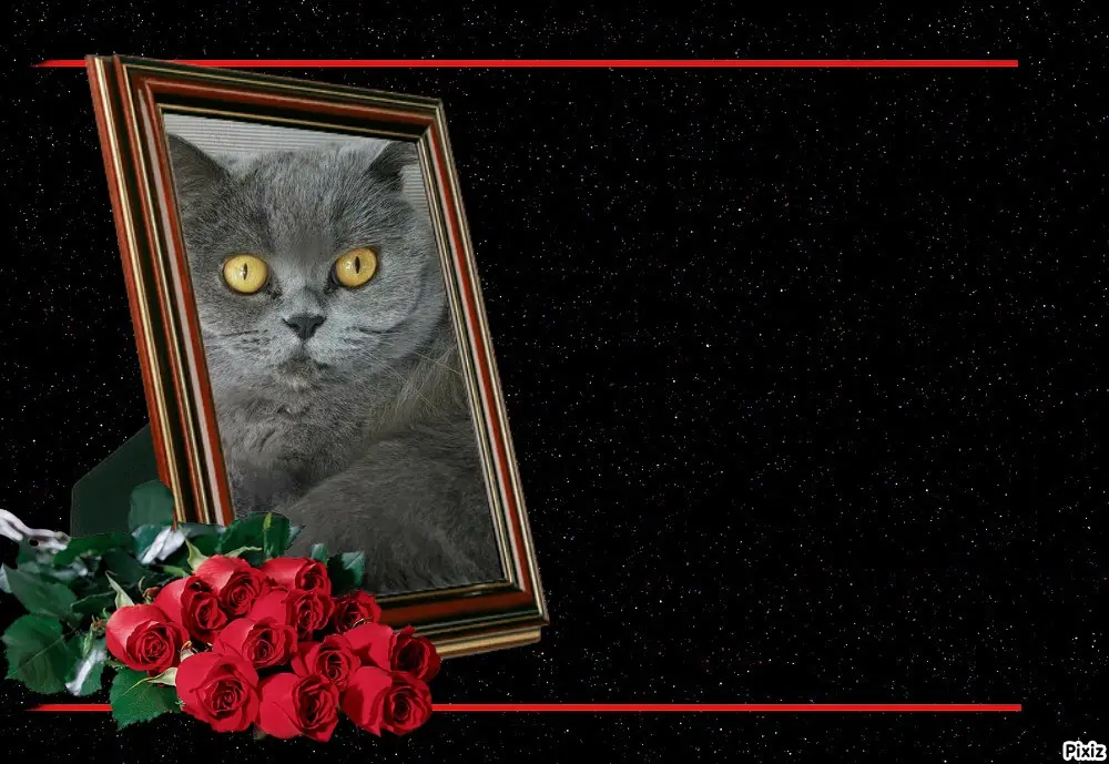 Andachtsbild von Tanja mit Timmy im Herzen 