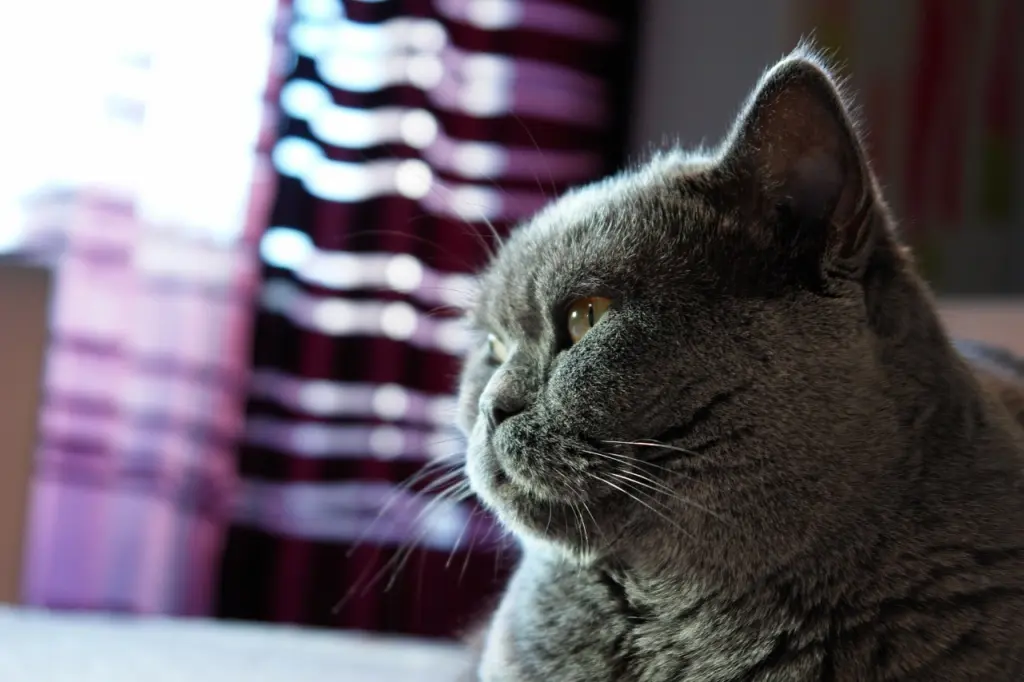 Andachtsbild von Für Emmi ❤️ und Sonja ❤️