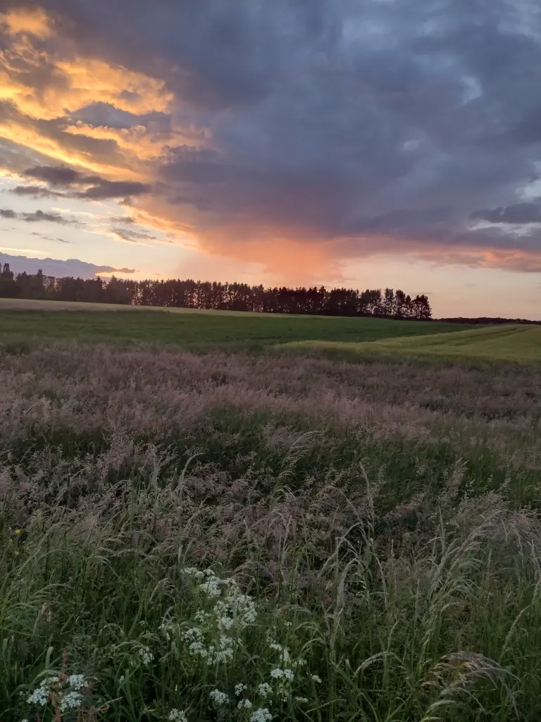 Andachtsbild von Corinna mit Emma, Jengi, Pummelchen und anderen Sternleine im Herzen
