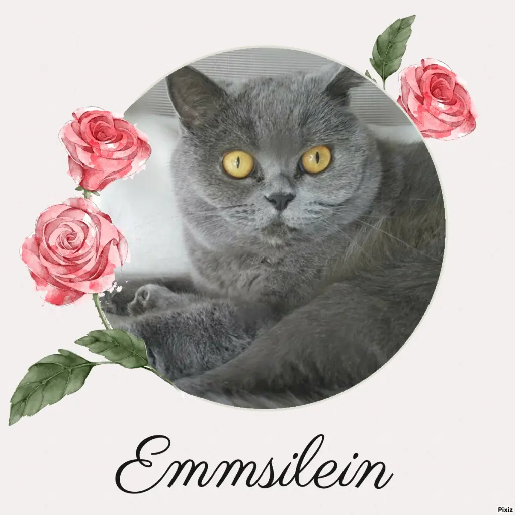 Andachtsbild von Tanja mit Timmy im Herzen 