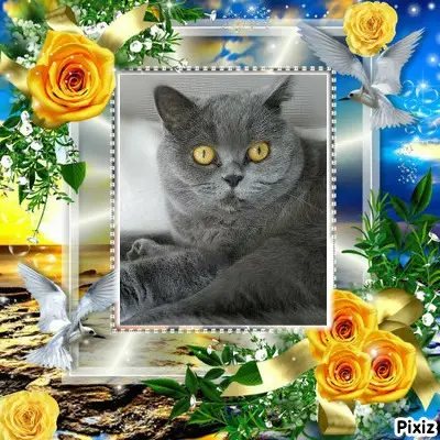 Andachtsbild von Tanja mit Timmy im Herzen 