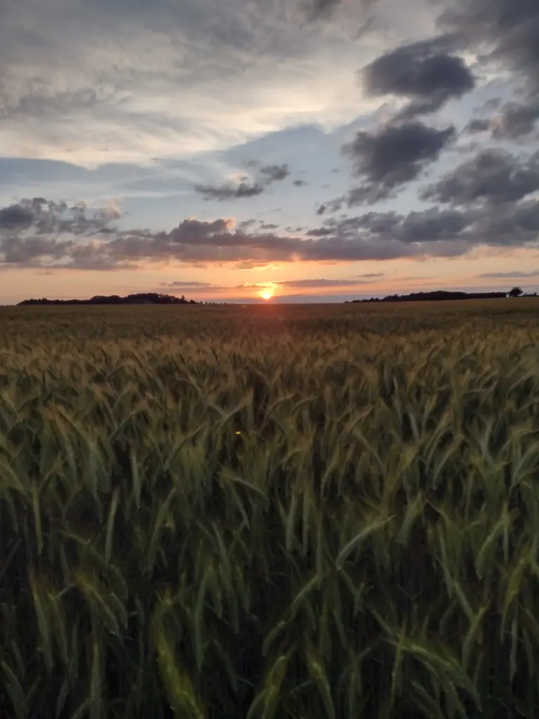 Andachtsbild von Corinna mit Emma, Jengi, Pummelchen und anderen Sternleine im Herzen