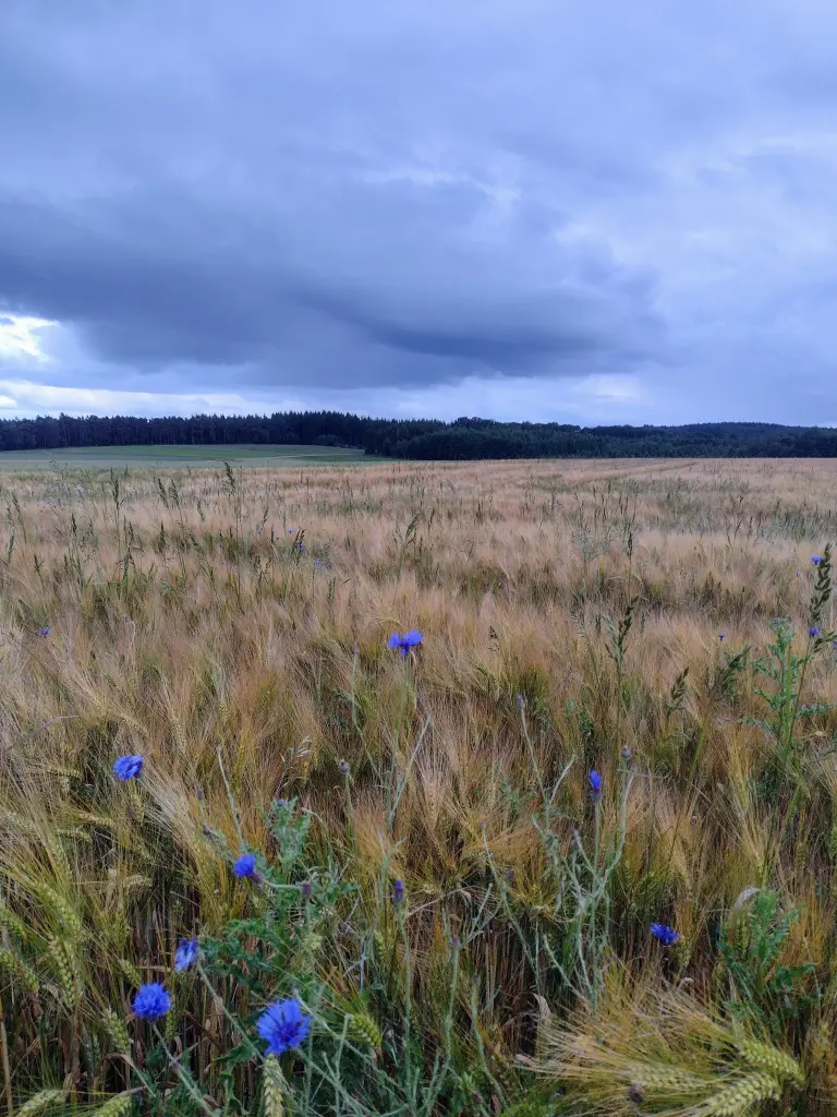 Andachtsbild von Corinna ❤️