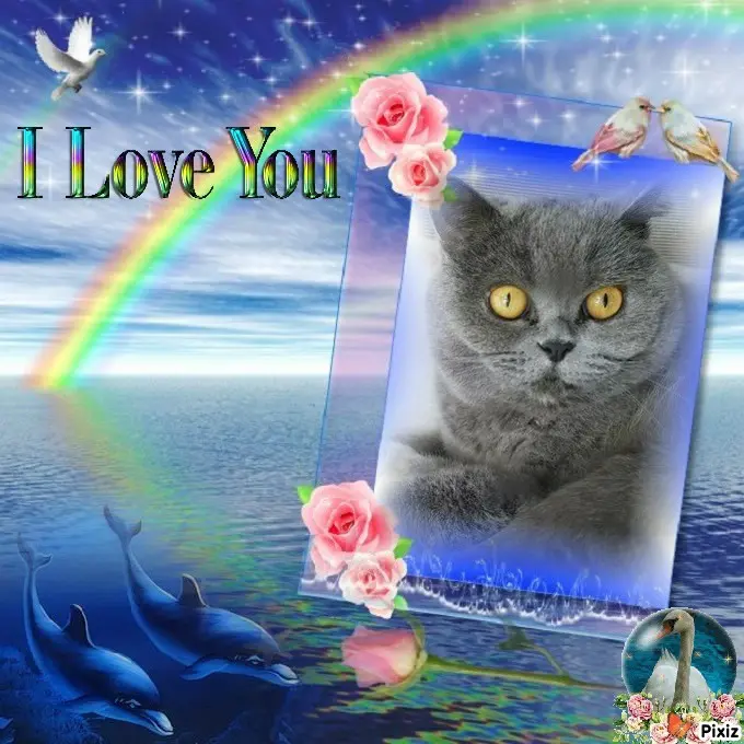 Andachtsbild von Tanja mit Timmy im Herzen 