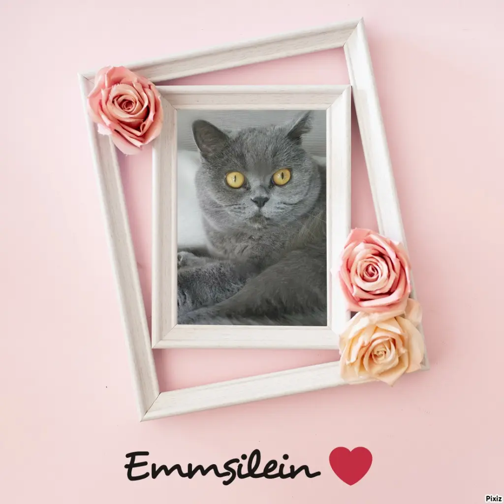 Andachtsbild von Tanja mit Timmy im Herzen 