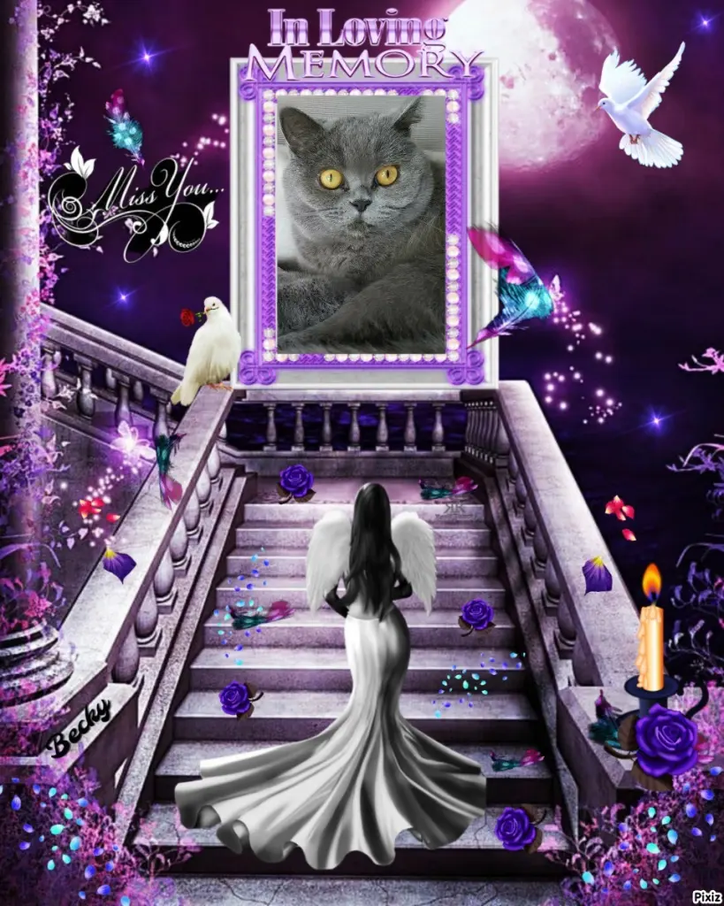 Andachtsbild von Tanja mit Timmy im Herzen 