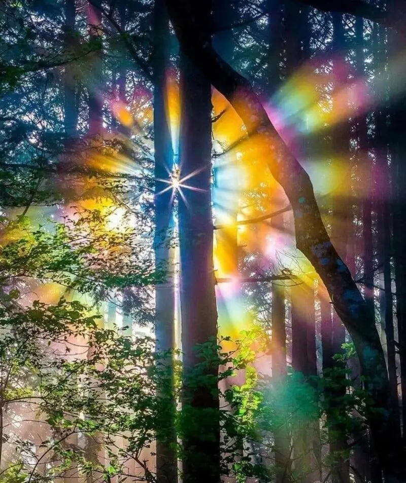 Andachtsbild von Corinna mit Emma, Jengi, Pummelchen und anderen Sternleine im Herzen