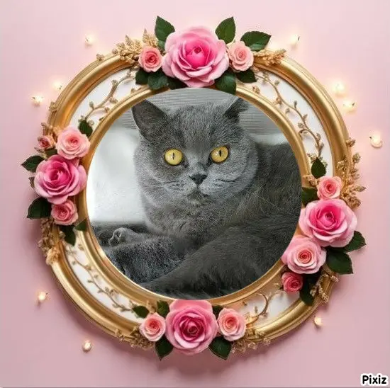 Andachtsbild von Tanja mit Timmy im Herzen 