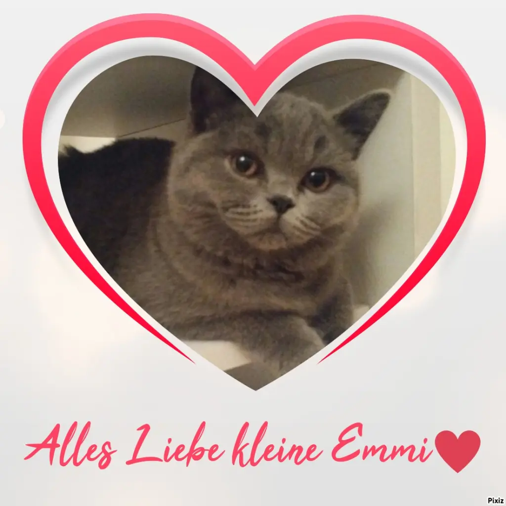 Andachtsbild von Für das kleine Geburtstagsengelchen Emmi ♥️