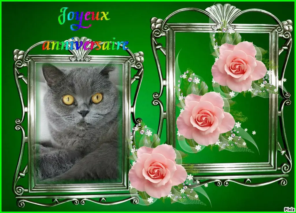 Andachtsbild von Tanja mit Timmy im Herzen 