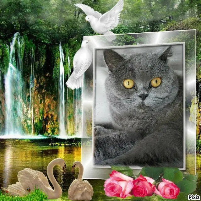 Andachtsbild von Tanja mit Timmy im Herzen 