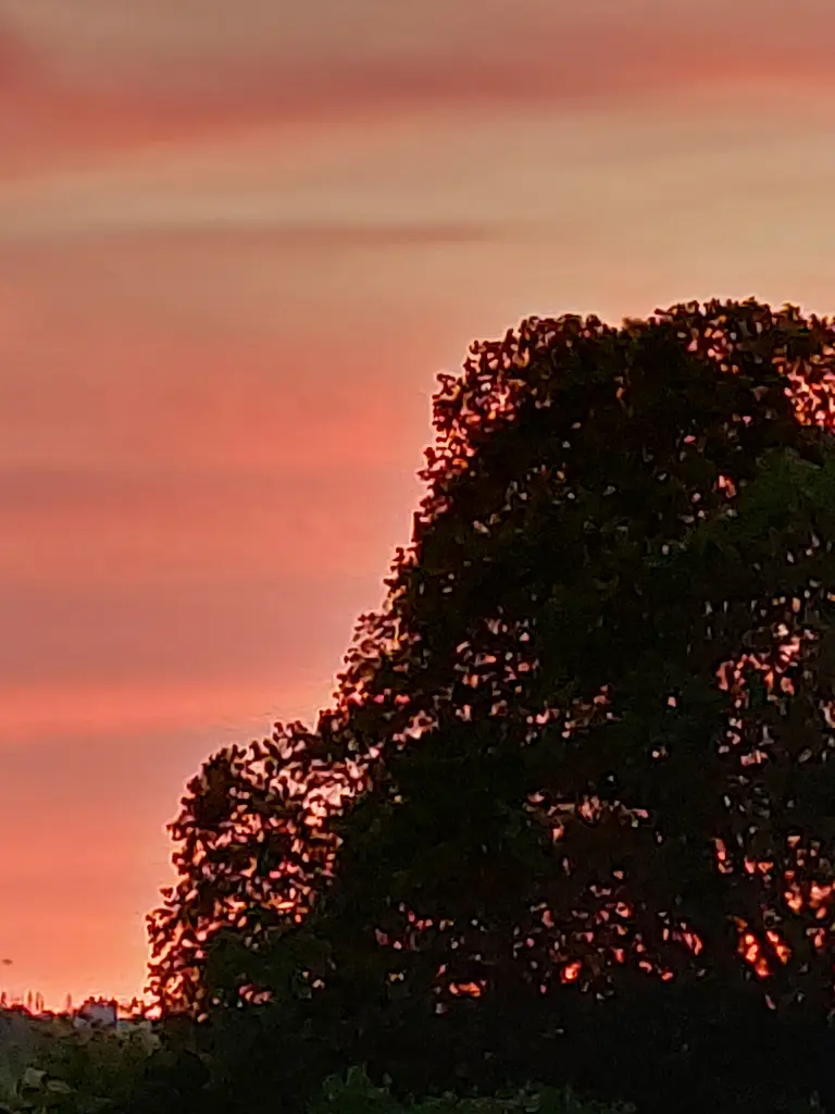 Andachtsbild von Daniela  an Emma und Mama Sonja ❤️