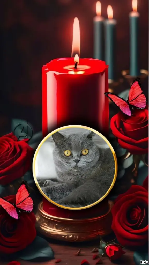 Andachtsbild von Tanja mit Timmy im Herzen 