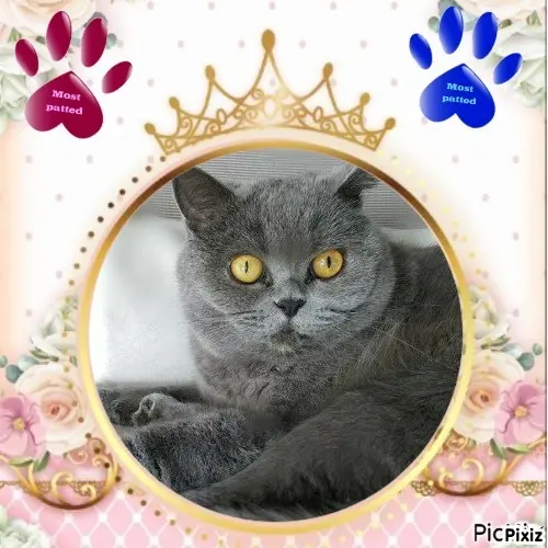 Andachtsbild von Tanja mit Timmy im Herzen 