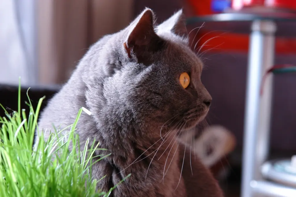 Andachtsbild von Für meine Emmi ❤️