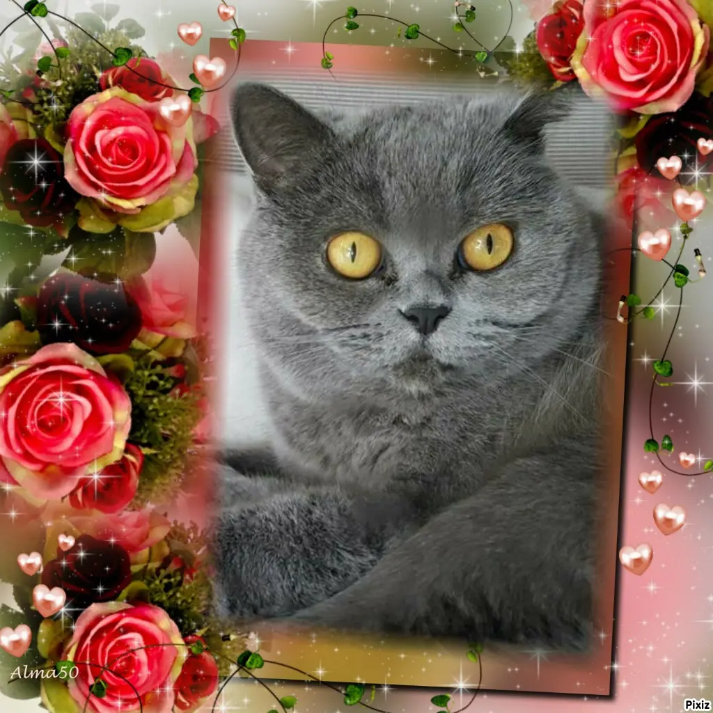 Andachtsbild von Tanja mit Timmy im Herzen 