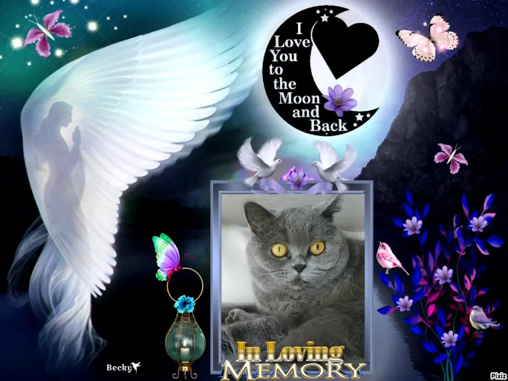 Andachtsbild von Tanja mit Timmy im Herzen 