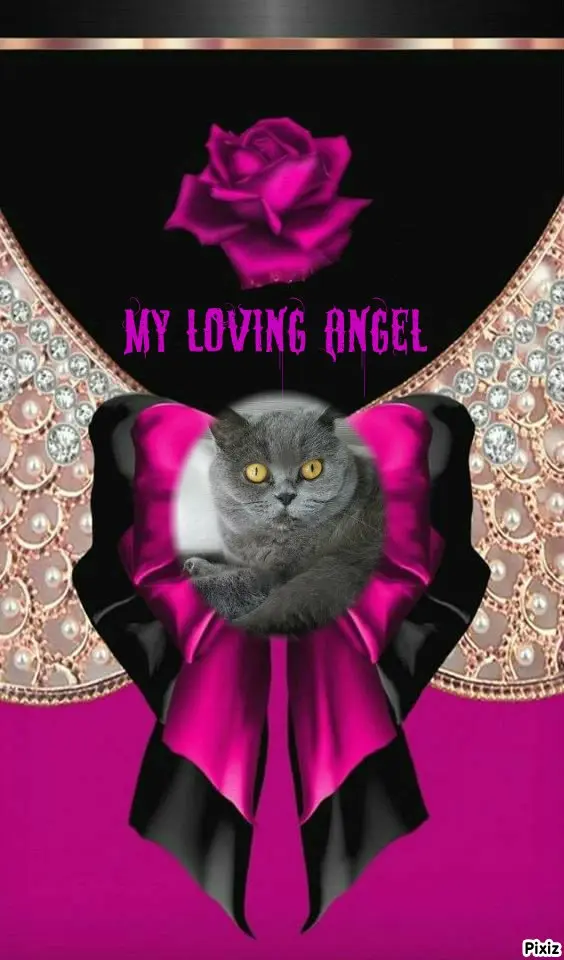 Andachtsbild von Tanja mit Timmy im Herzen 