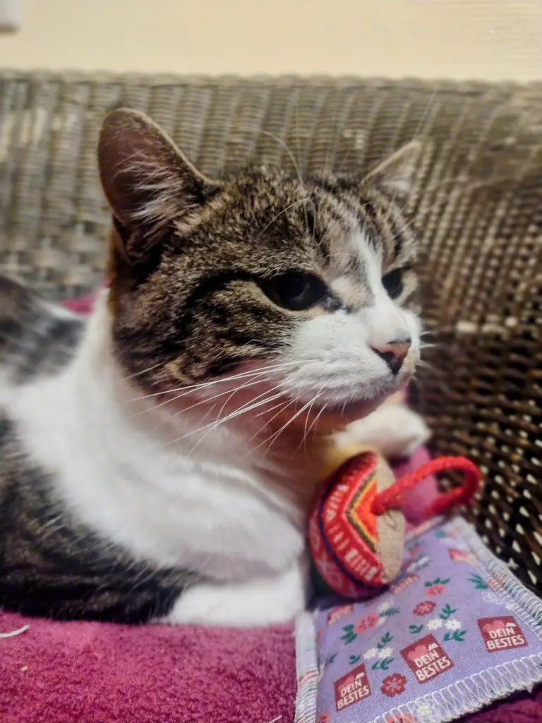 Andachtsbild von Corinna ♥️