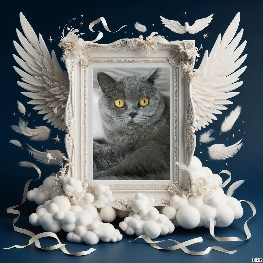 Andachtsbild von Tanja mit Timmy im Herzen 