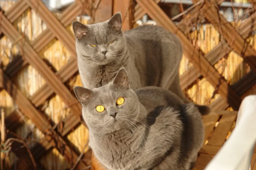 Andachtsbild von Für Emmi ❤️ von Dodo