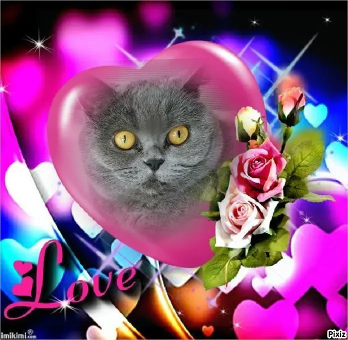 Andachtsbild von Tanja mit Timmy im Herzen 