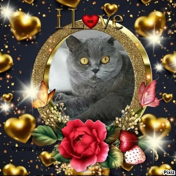 Andachtsbild von Tanja mit Timmy im Herzen 