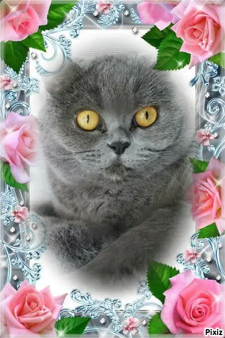 Andachtsbild von Tanja mit Timmy im Herzen 