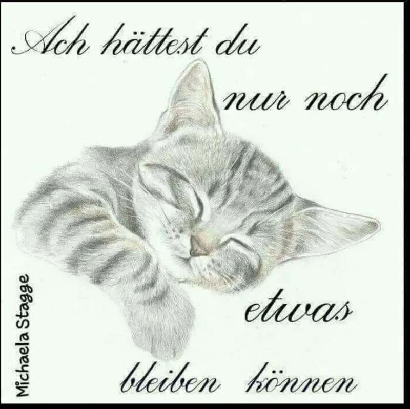 Andachtsbild von Corinna mit Emma, Vinni-Ved, Jengi, Blacky,Pummelchen und anderen Sternleine im Herzen