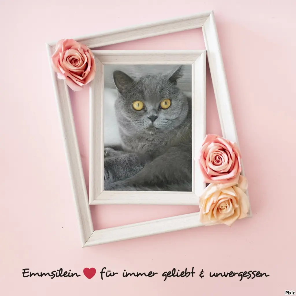 Andachtsbild von Tanja mit Timmy im Herzen 