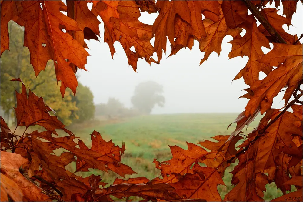 Andachtsbild von Für Emmi ❤️ und Sonja ❤️