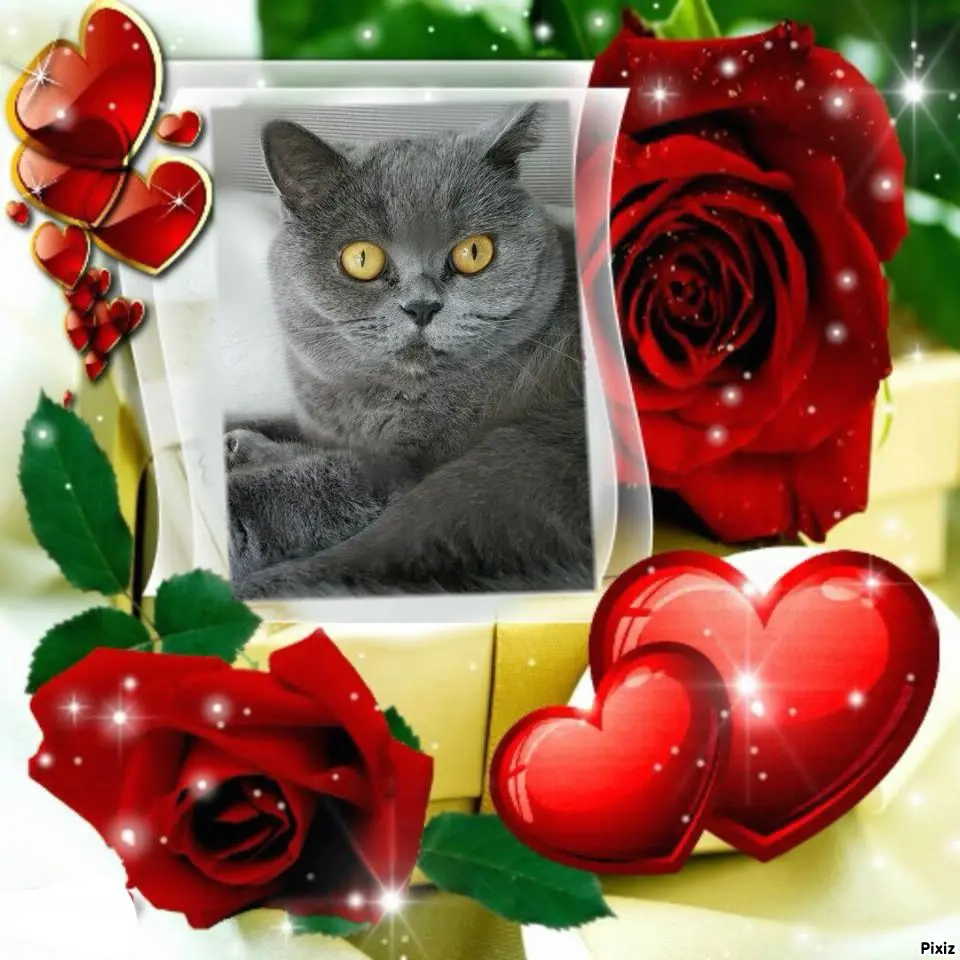 Andachtsbild von Tanja mit Timmy im Herzen