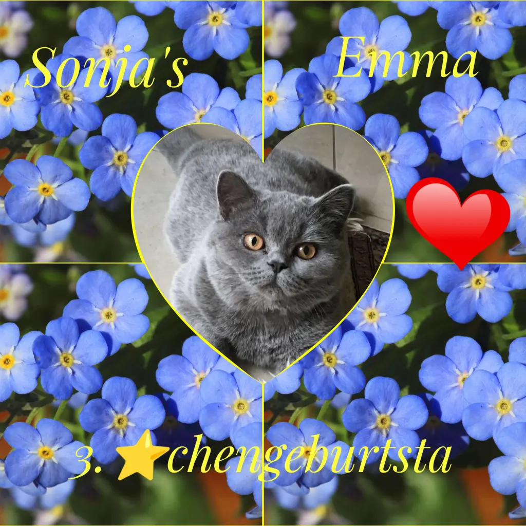 Andachtsbild von Corinna mit Emma, Vinni-Ved, Jengi, Blacky Pummelchen und anderen Sternleine im Herzen