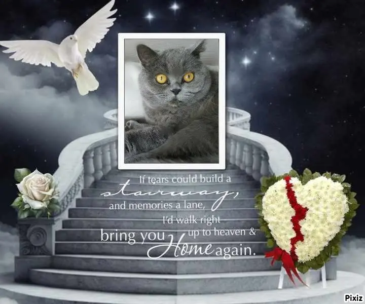 Andachtsbild von Tanja mit Timmy im Herzen