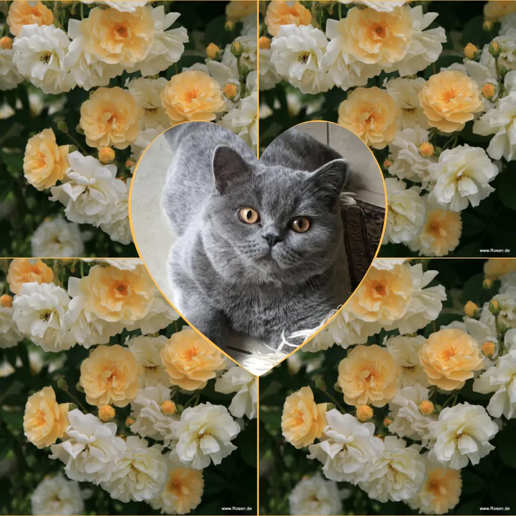 Andachtsbild von Corinna ❤️