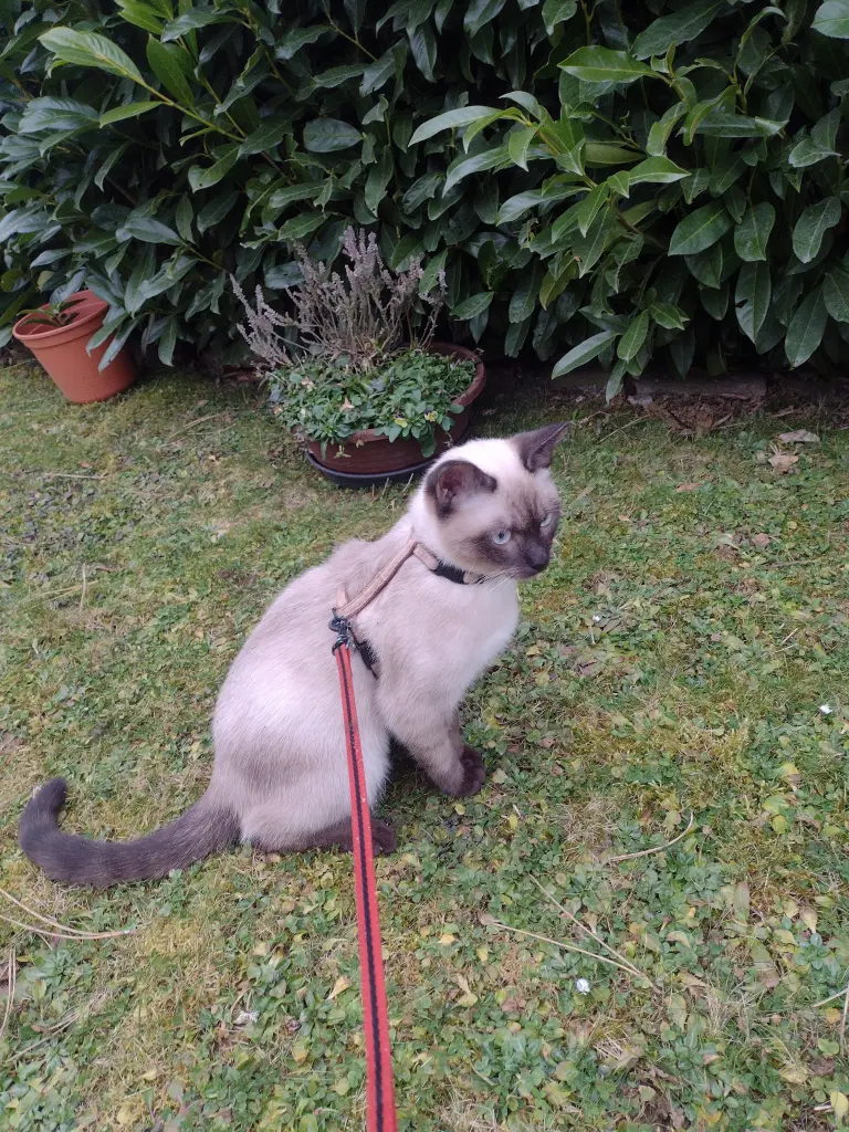 Andachtsbild von Corinna ♥️