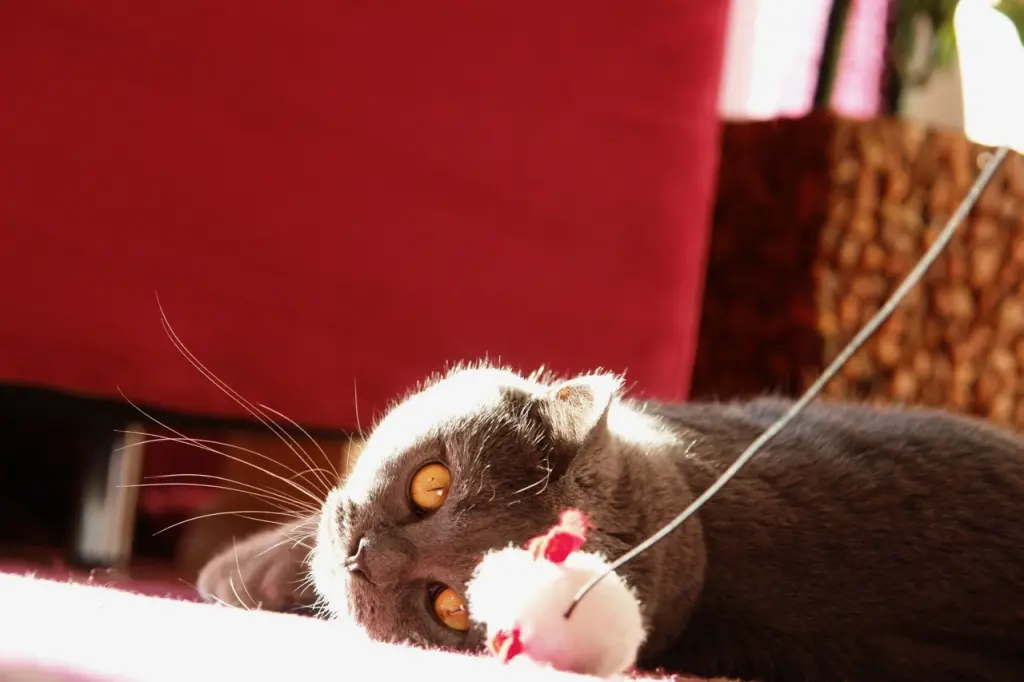 Andachtsbild von Für Emmi ❤️ von Snooperle ❤️