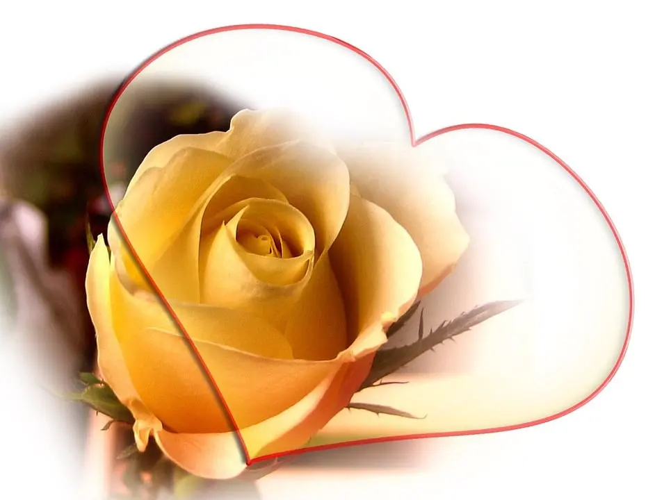 Andachtsbild von Für meine Emmi... ❤️