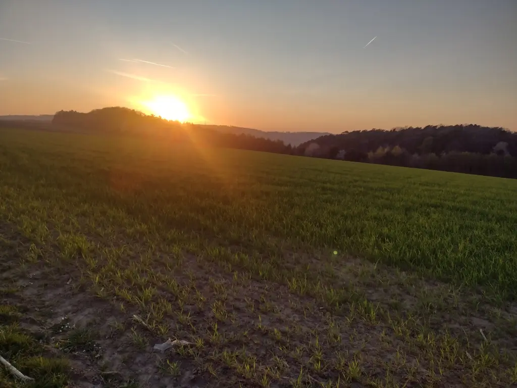 Andachtsbild von Corinna mit Emma, Vinni-Ved, Linette, Jengi, Pummelchen und anderen Sternleine im Herzen