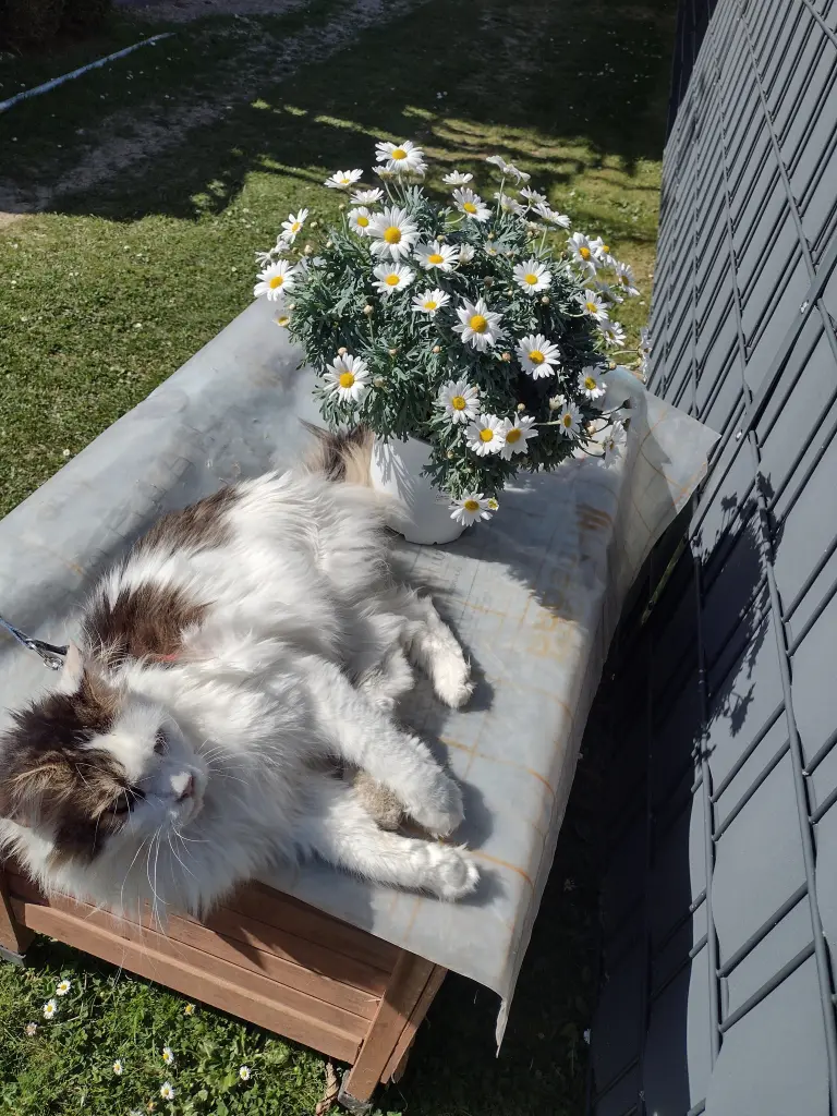 Andachtsbild von Corinna & Emmeli ♥️