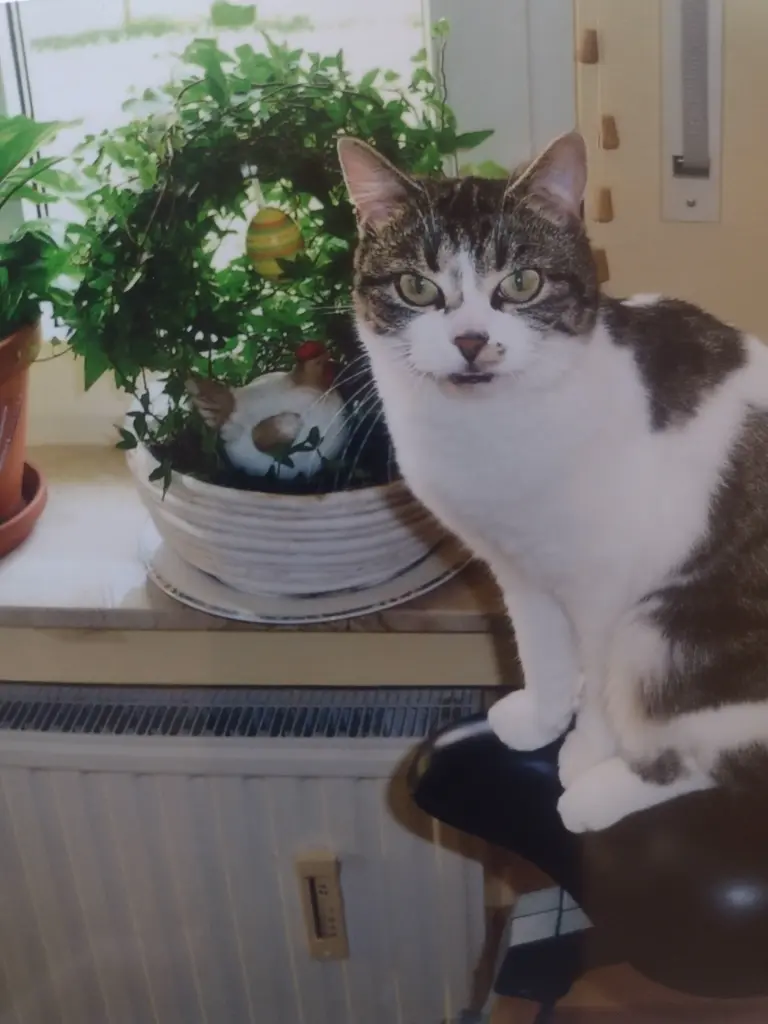 Andachtsbild von Corinna ❤️