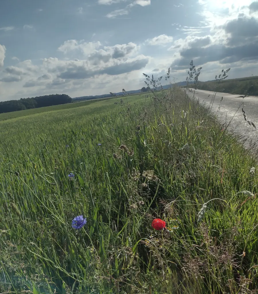 Andachtsbild von Corinna ♥️