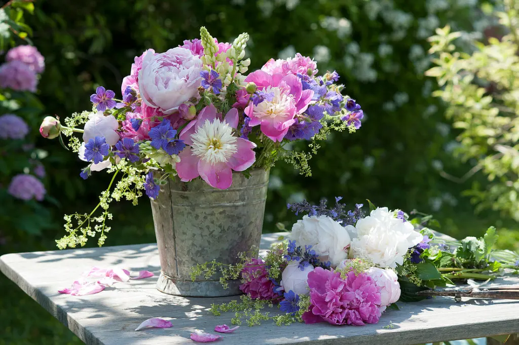 Andachtsbild von Für Emmi ❤️