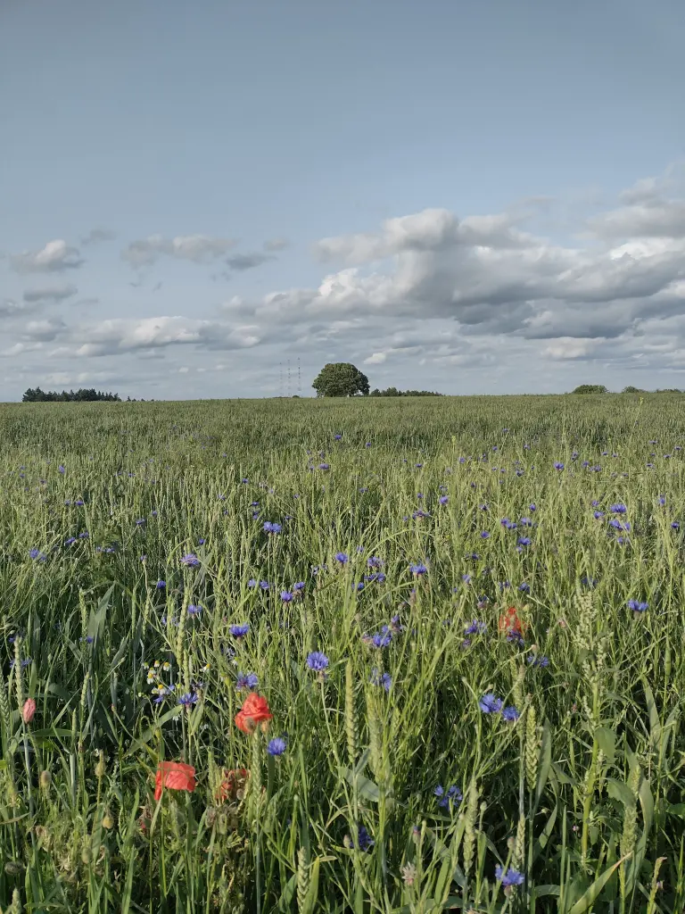 Andachtsbild von Corinna ❤️