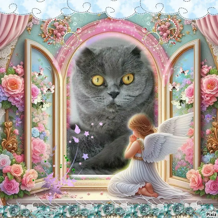 Andachtsbild von Tanja mit Timmy im Herzen 