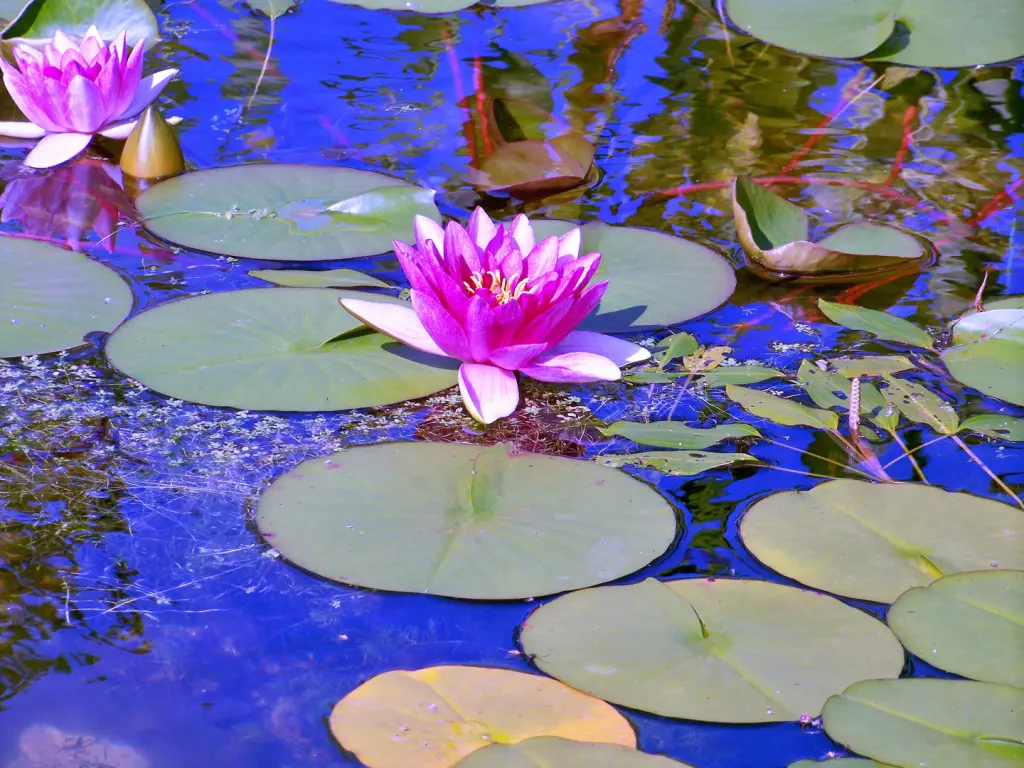 Andachtsbild von Für Emmi ❤️ und Sonja ❤️
