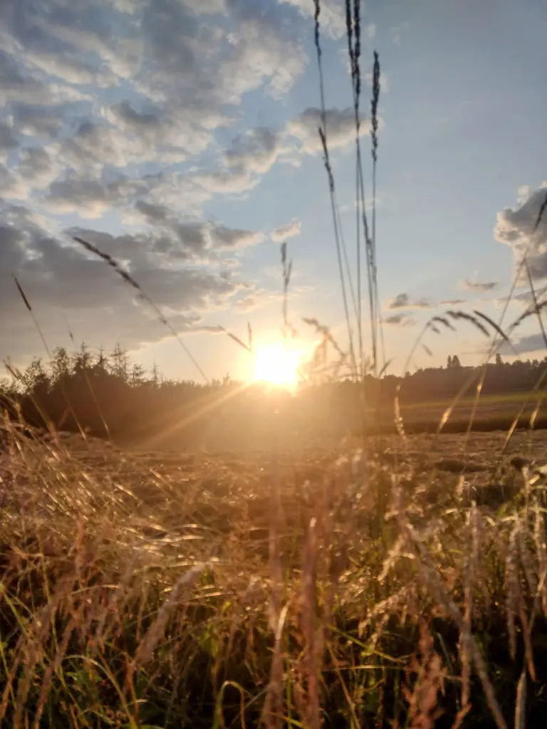 Andachtsbild von Corinna ♥️