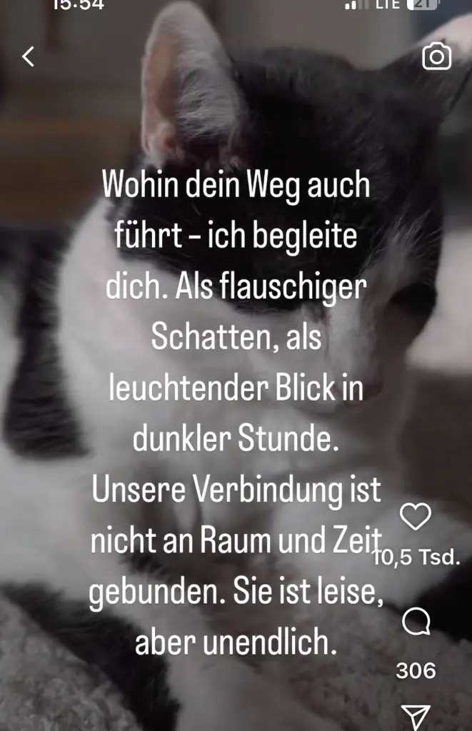 Andachtsbild von Mama